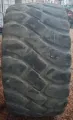 650/65R25   25/65R25