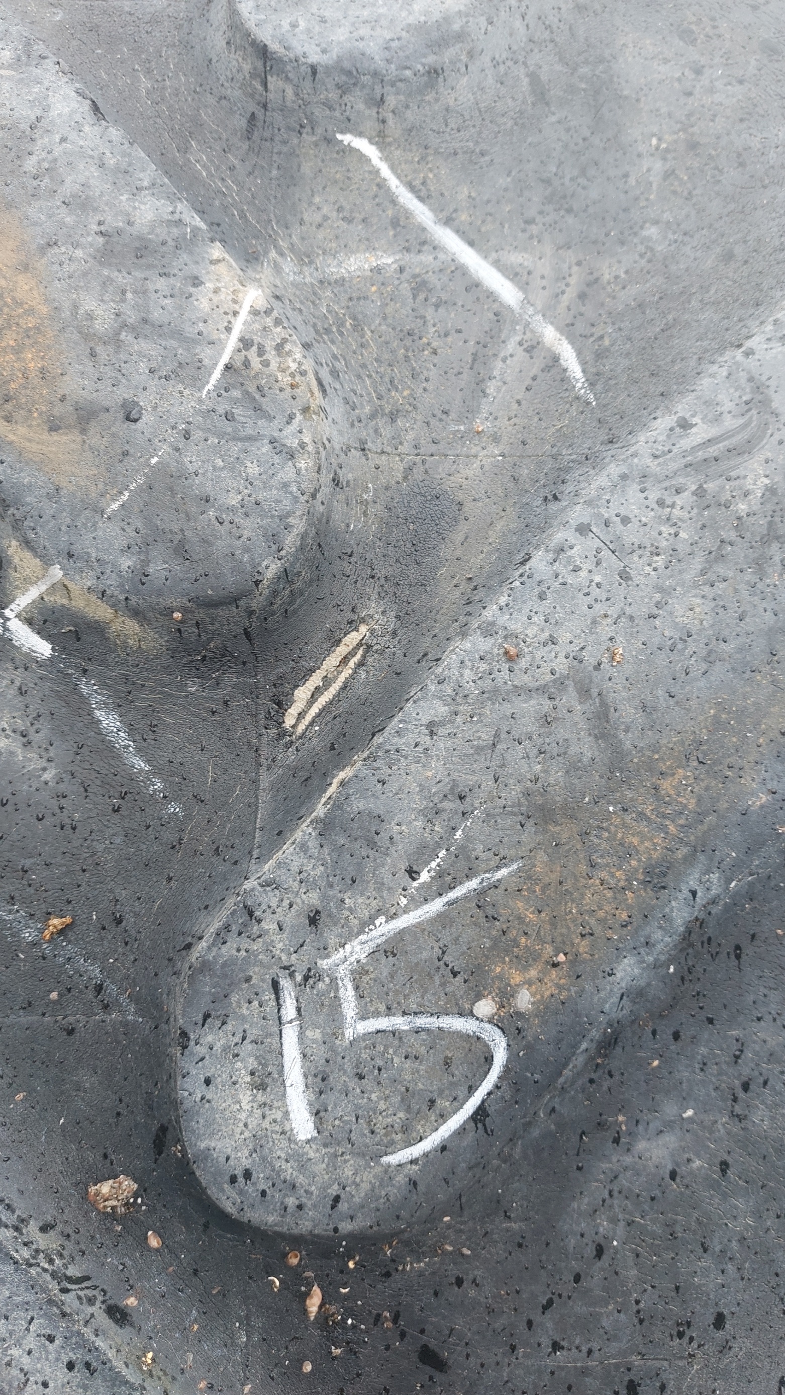 Tyre Image 3